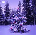 Picture for song 'The First Noel (2013 mix)' by artist 'Amy Caldwell and Tom Moore'