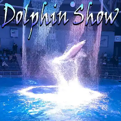 Picture for song 'Dolphin Show' by artist 'Axiomatic Instrumentals'