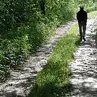 Picture for song 'TILL OUR LAST DAY' by artist 'CinematicHype'