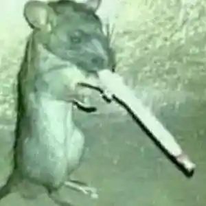 Picture for song 'First' by artist 'Jertuu Beats'