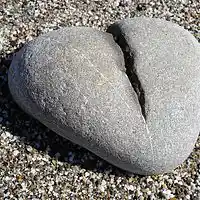 Picture for song 'Suddenly Free' by artist 'Leonard Scaper'