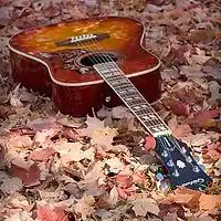 Picture for song 'Autumnal Acoustic ' by artist 'Michael Bennett'