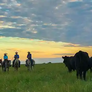 Picture for song 'So The Angels Say' by artist 'Off The Rails'