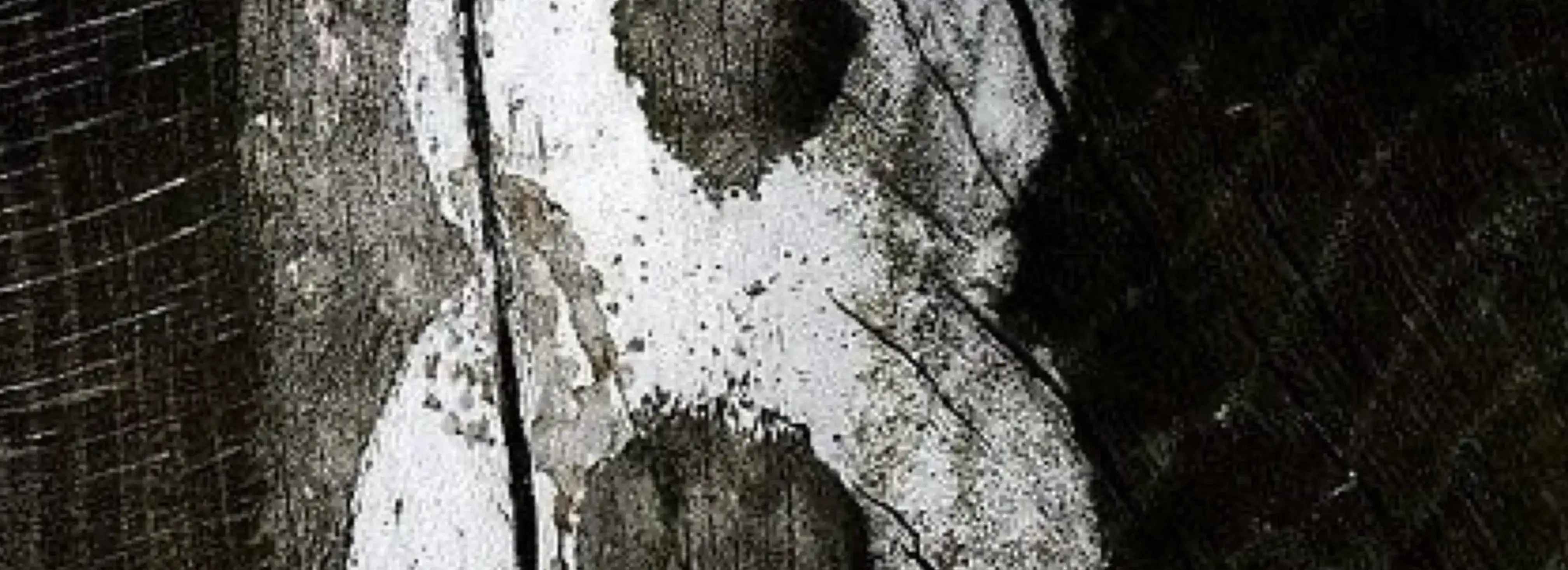 cover pic