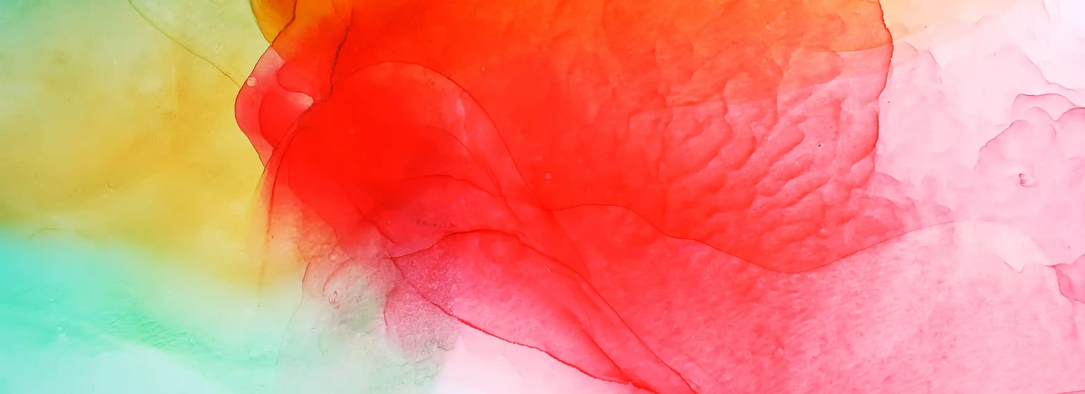 cover pic