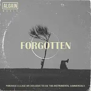 Picture for song 'Forgotten' by artist 'Algain-Music'