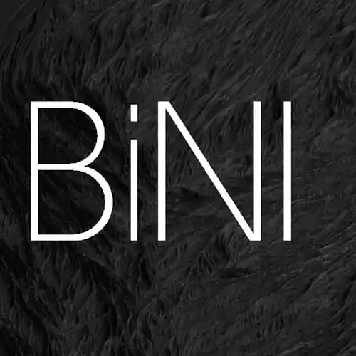 Picture for song 'BiNI - Black Beat 1' by artist 'BiNI'