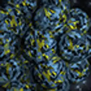 Picture for song 'Dancing in the Kuiper Belt' by artist 'Joe D'Agostino'