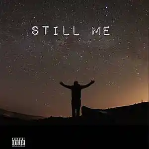 Picture for song 'still me' by artist 'Lemon Driver'