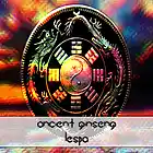 Picture for song 'Lespa - Ancient Ginseng' by artist 'Lespa'