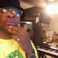 Picture for song 'vodo on the grapes' by artist 'Lurchwork Production'