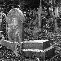 Picture for song 'Graves' by artist 'Madnez'