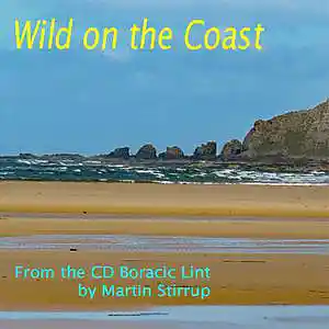 Picture for song 'BL02 Wild on the Coast' by artist 'martin stirrup'