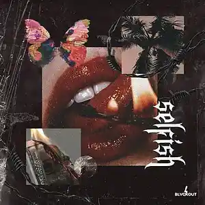 Song picture