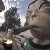 Picture for song 'The Fock Out Of My Face (Prod by Providence)' by artist 'Providence Beats'