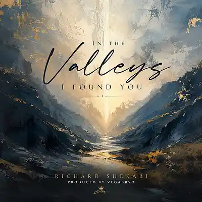 Picture for song 'In the Valleys I Found You' by artist 'Richard Shekari'