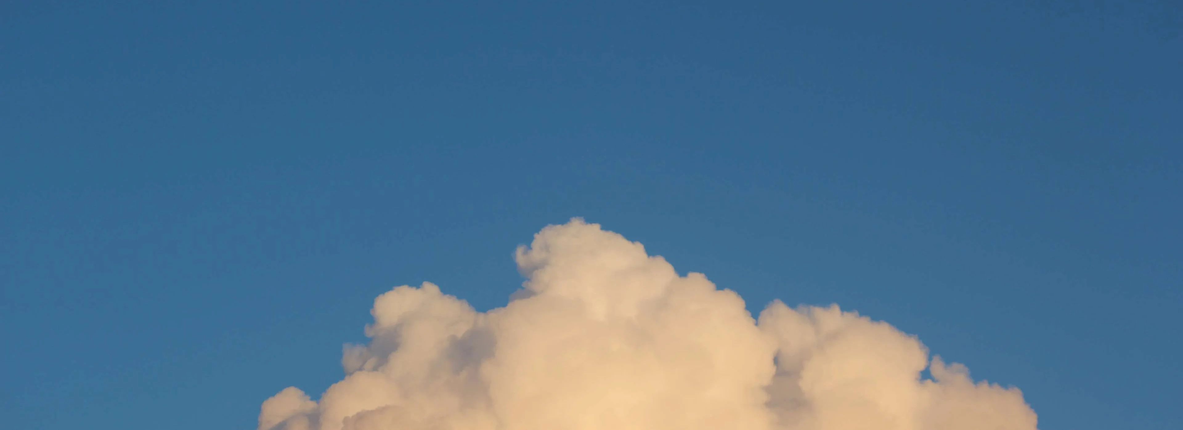 cover pic