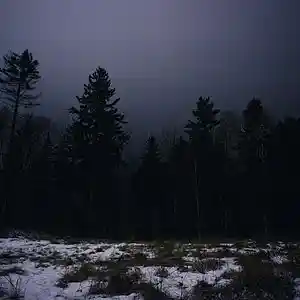 Song picture