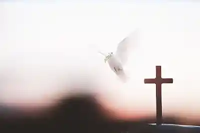Picture for song 'HOLY - JAMESLAFLAME - 140 - C' by artist 'JamesLaFLame'