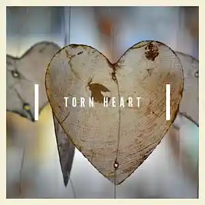 Picture for song 'Torn Heart' by artist 'Kevan Krueger Beats'