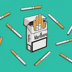 Picture for song 'CLASSIC [prod. LongBone]' by artist 'goosebone'