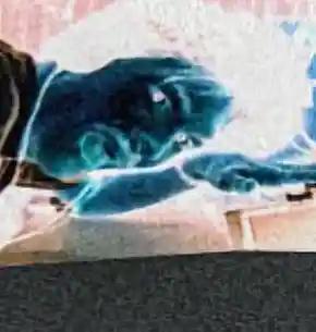 Picture for song 'DFXFMC-Heavee Meddle Karma Sutra' by artist 'The Man With The Multitrack Mind'