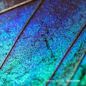 Picture for song 'Iridescent' by artist 'Thomas Becker'