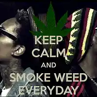 Picture for song 'Herb ( wiz khalifa type )' by artist 'TroubledBeatz'