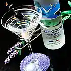 Picture for song 'Goose Me Down Ft. Yung Vin' by artist 'Young Trag'