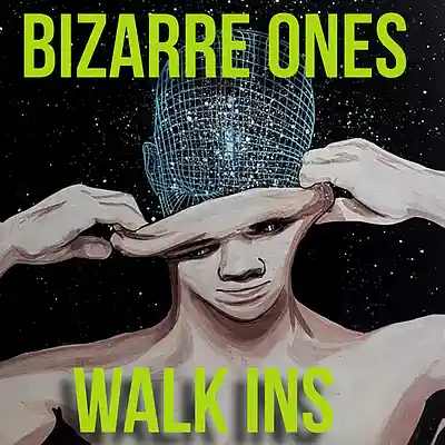Picture for song 'Walk Ins Part Two' by artist 'Bizarre Ones Studios'
