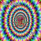 Picture for song '126 (I used to Be, but now I am mix)' by artist 'Bud Pests'
