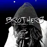 Picture for song 'Brothers ' by artist 'illWillbeatzOfficial'