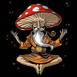 Picture for song 'Dreamy Beat of Psychedelia' by artist 'J A S Productionz'