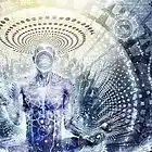 Picture for song 'Maybe if we put a Narwal and a Horse together...' by artist 'Joey Wilson'