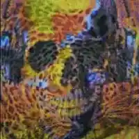 Song picture