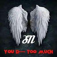Picture for song 'You D----- Too Much' by artist 'Xitruc NiVri'