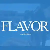 Picture for song 'FLAVOR (FREE DL)' by artist 'SOOP Instrumentals'
