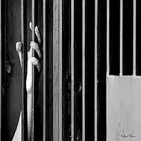 Picture for song 'your final fall 1.....' by artist 'stefanos grigoriadis'