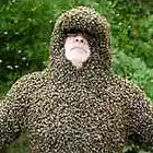 Picture for song 'Killer Bees ***NEW*** T-34 Productions' by artist 'T-34 Productions'