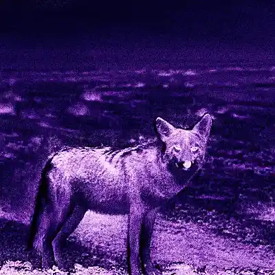 Picture for song '*$100 EXCLUSIVE* Waterloo (Buy 1 get 4 free)' by artist 'waytoolost'