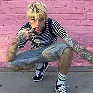 Picture for song 'Lil Peep Type Beat' by artist 'YperBeatz'