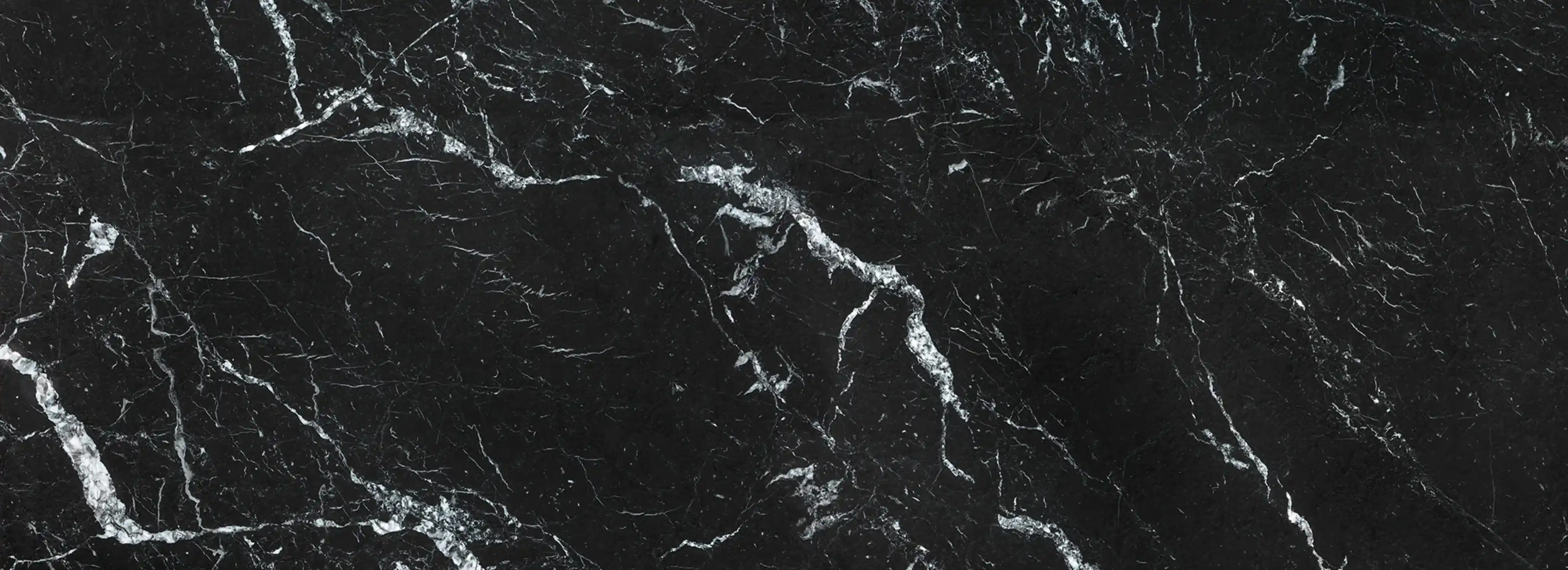 cover pic