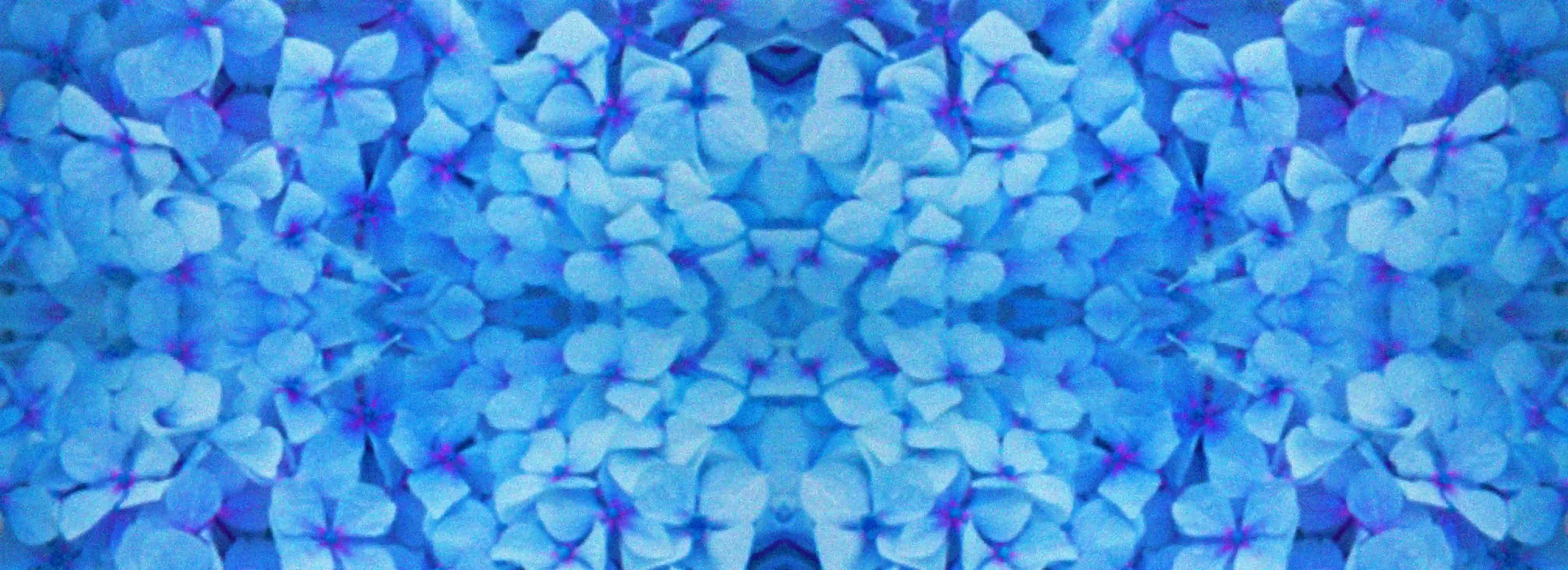 cover pic