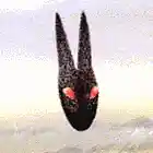 Picture for song ''Til The Bottom Falls Out' by artist 'Uncle Ace Ha'