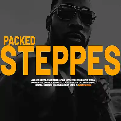 Picture for song 'PACKED STEPPES (BUY 1 GET 2 FREE)' by artist 'BUSTLE WORKSHOP'