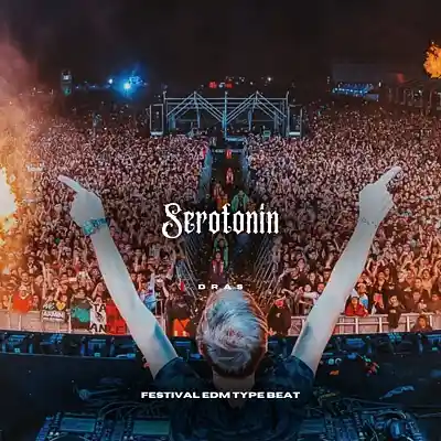 Picture for song '"Serotonin" (Festival Party Type Beat - EDM Type B' by artist 'Dras On The Beat'
