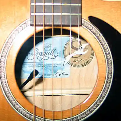 Picture for song 'I was only 19' by artist 'Homoerectus (AUS)'