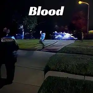 Picture for song 'Blood' by artist 'Hugobergbeats'