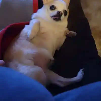 Picture for song 'Mystery' by artist 'Jason Timoch'