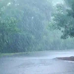 Picture for song 'Zenab' by artist 'Kamara'